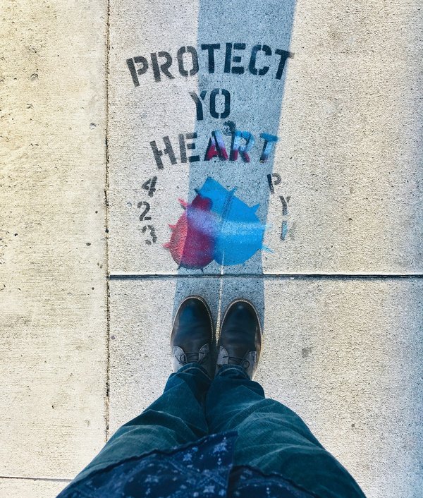 What are the most effective ways to protect your UK car's paint from bird droppings?